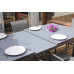 TABLE MANGUE 180/240x100